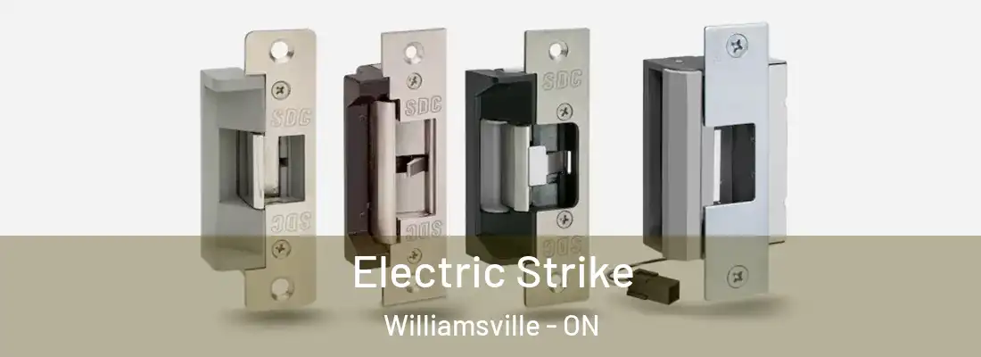 Electric Strike Williamsville - ON