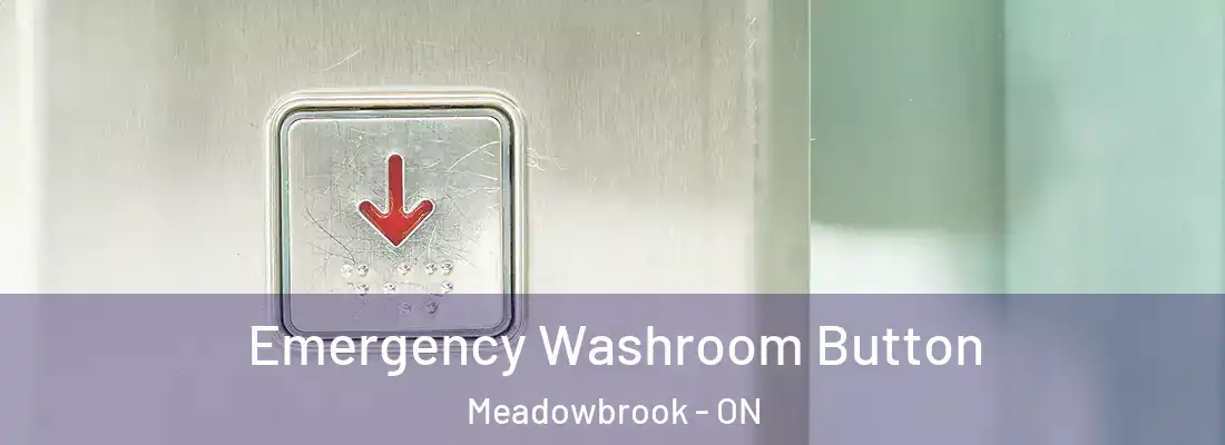  Emergency Washroom Button Meadowbrook - ON