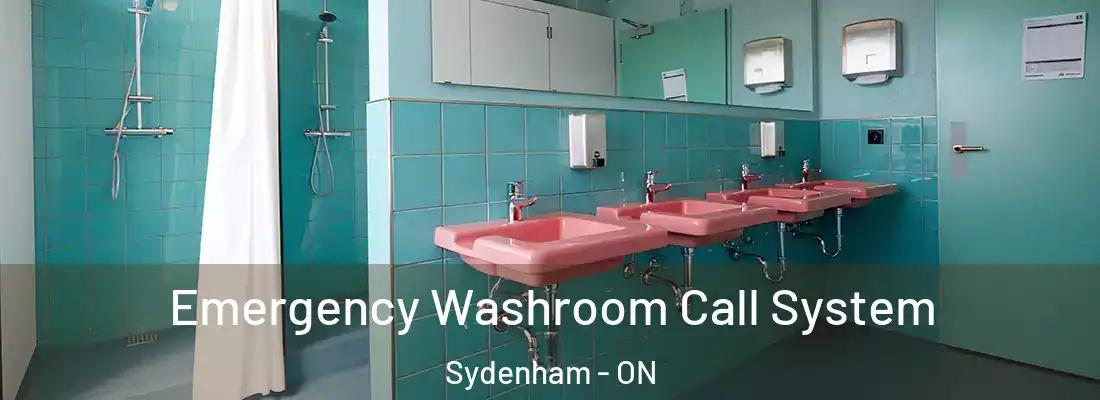  Emergency Washroom Call System Sydenham - ON