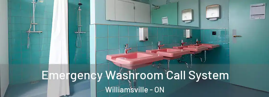  Emergency Washroom Call System Williamsville - ON