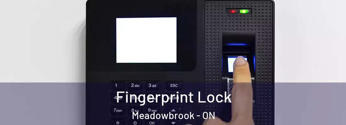  Fingerprint Lock Meadowbrook - ON