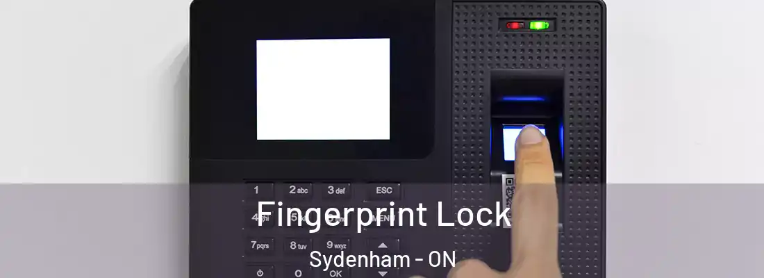  Fingerprint Lock Sydenham - ON