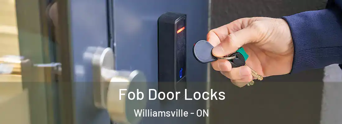  Fob Door Locks Williamsville - ON