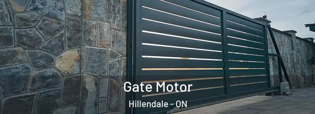  Gate Motor Hillendale - ON