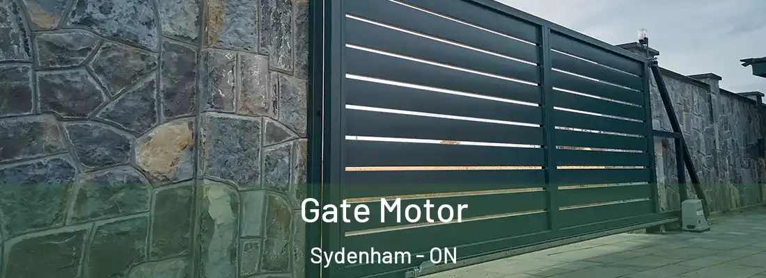  Gate Motor Sydenham - ON