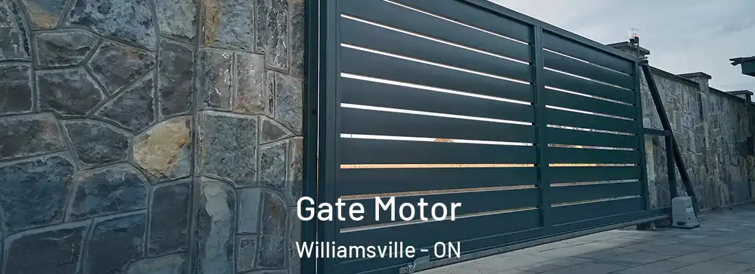  Gate Motor Williamsville - ON