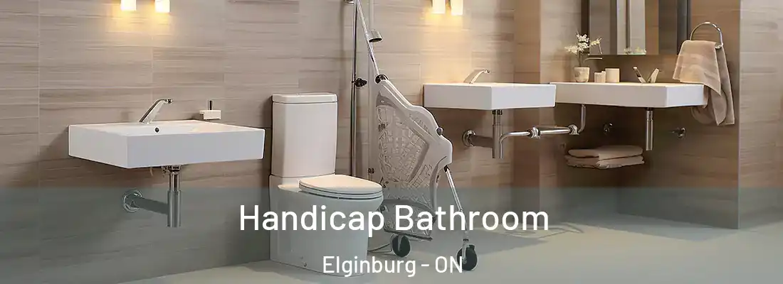  Handicap Bathroom Elginburg - ON