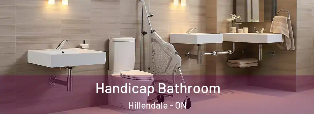  Handicap Bathroom Hillendale - ON