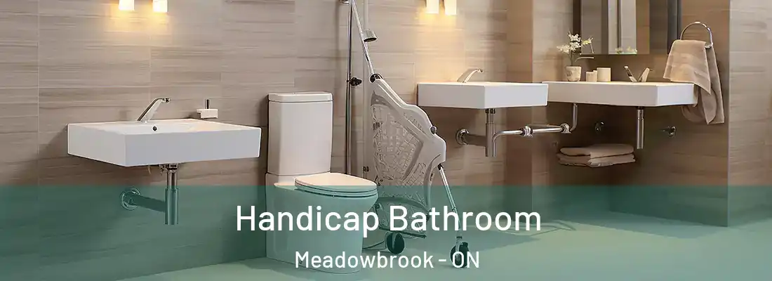  Handicap Bathroom Meadowbrook - ON