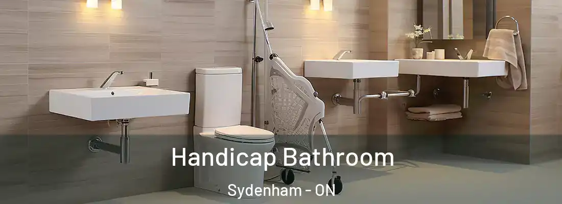  Handicap Bathroom Sydenham - ON