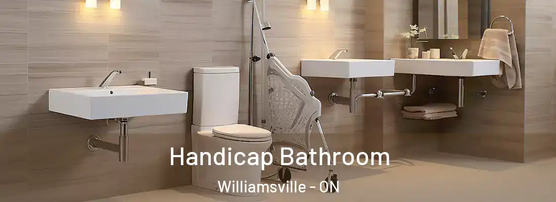  Handicap Bathroom Williamsville - ON