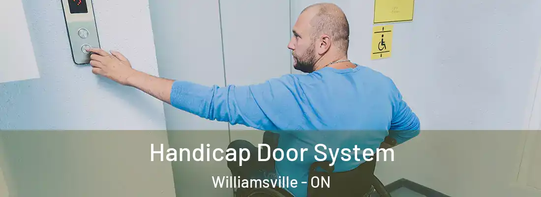  Handicap Door System Williamsville - ON