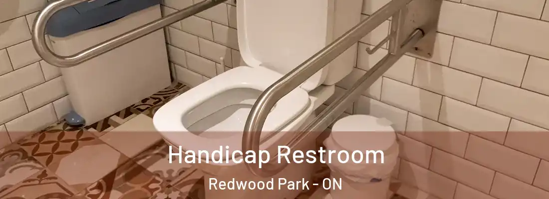  Handicap Restroom Redwood Park - ON