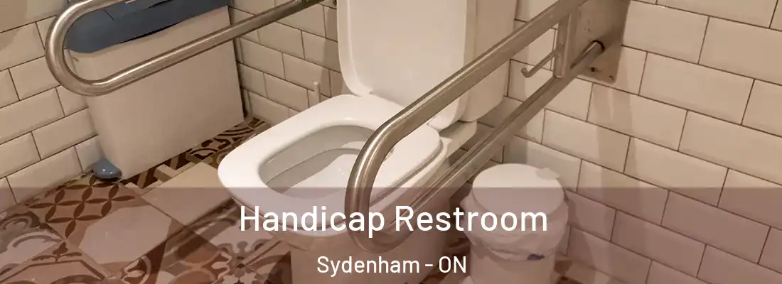  Handicap Restroom Sydenham - ON