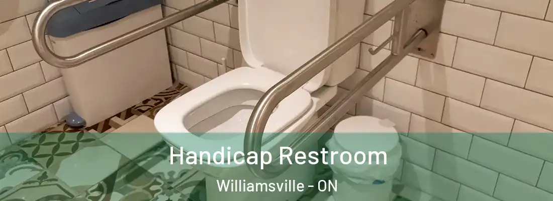  Handicap Restroom Williamsville - ON