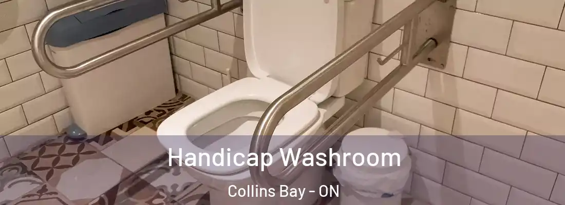  Handicap Washroom Collins Bay - ON