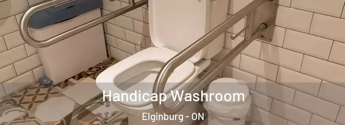  Handicap Washroom Elginburg - ON