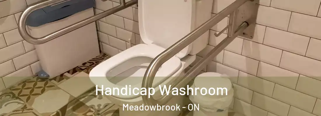  Handicap Washroom Meadowbrook - ON