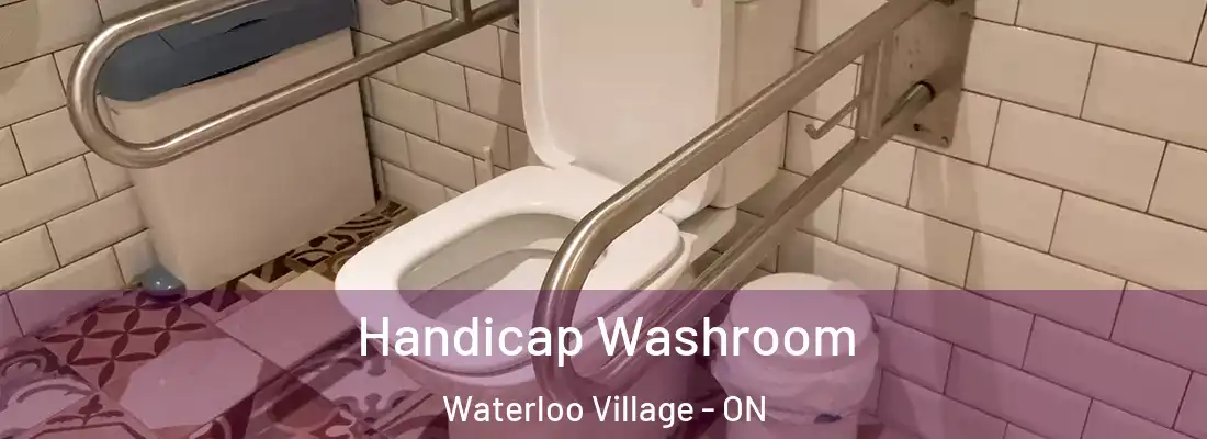  Handicap Washroom Waterloo Village - ON