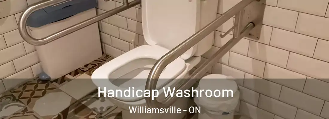  Handicap Washroom Williamsville - ON