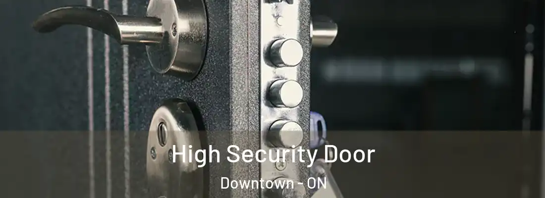  High Security Door Downtown - ON