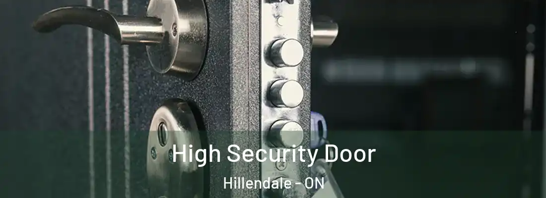  High Security Door Hillendale - ON