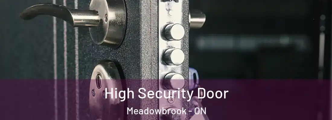  High Security Door Meadowbrook - ON