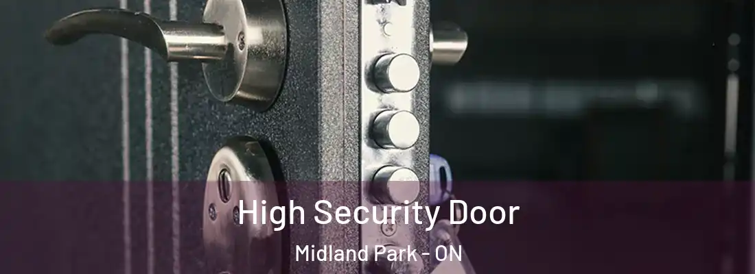  High Security Door Midland Park - ON