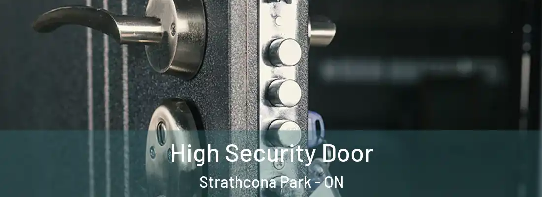  High Security Door Strathcona Park - ON