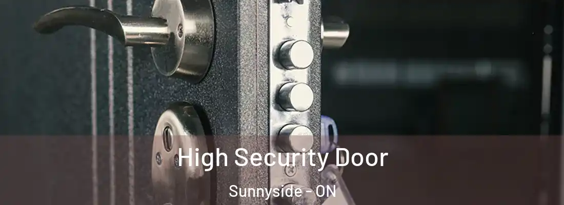  High Security Door Sunnyside - ON