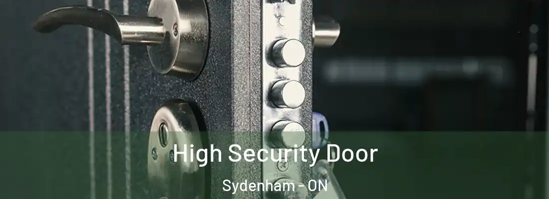  High Security Door Sydenham - ON