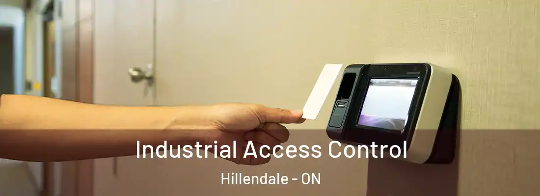  Industrial Access Control Hillendale - ON
