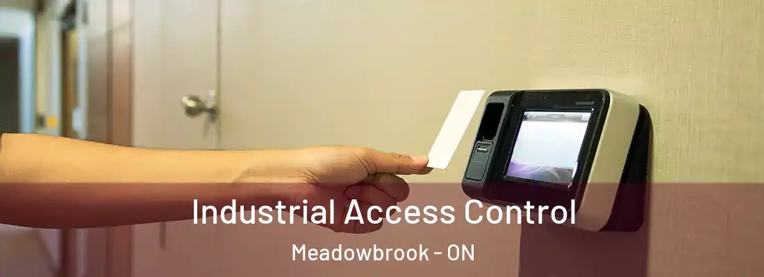  Industrial Access Control Meadowbrook - ON