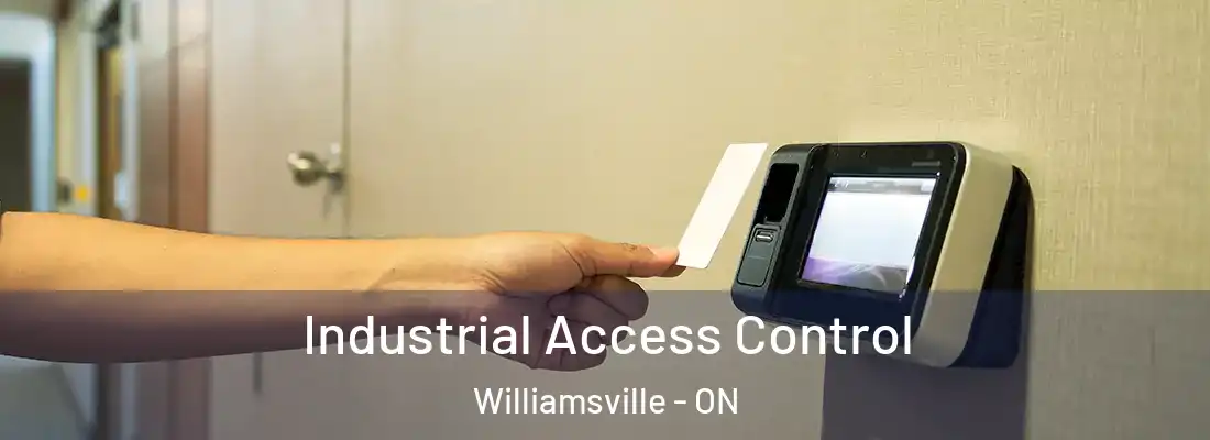  Industrial Access Control Williamsville - ON