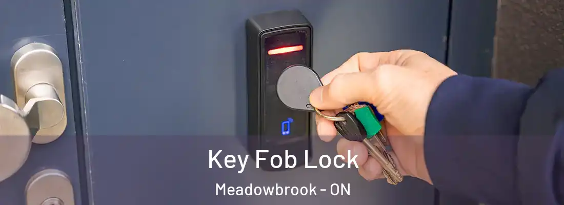 Key Fob Lock Meadowbrook - ON