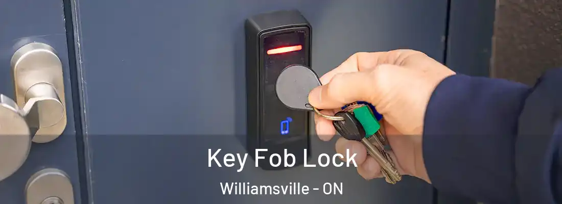  Key Fob Lock Williamsville - ON