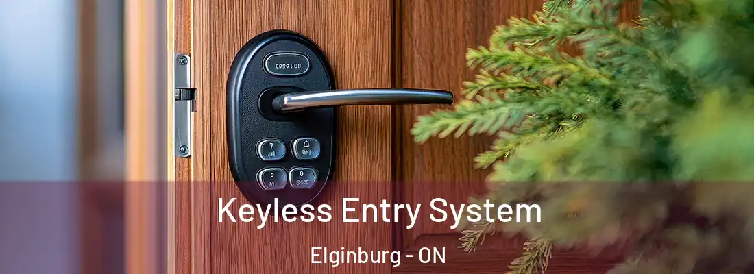  Keyless Entry System Elginburg - ON