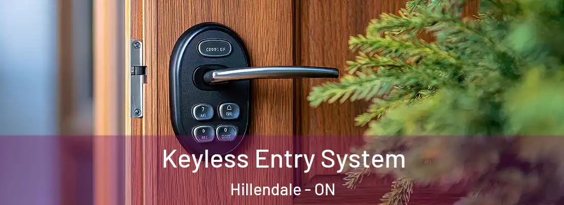  Keyless Entry System Hillendale - ON