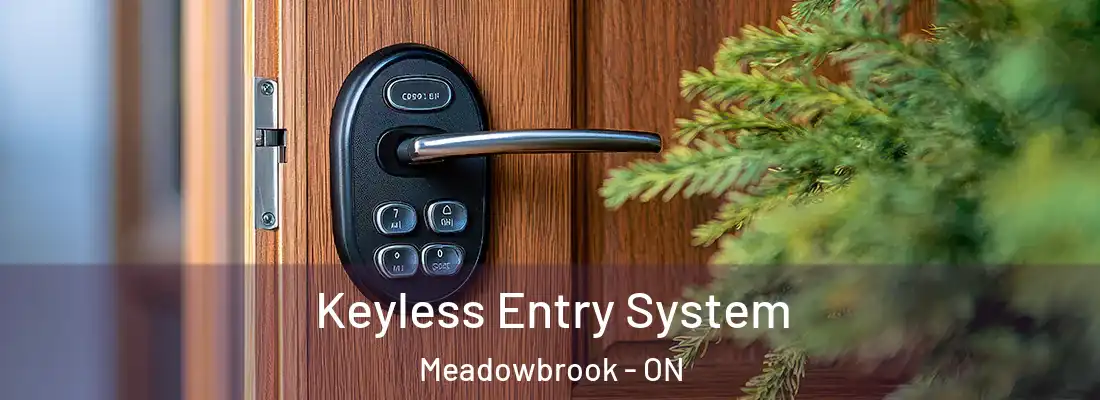  Keyless Entry System Meadowbrook - ON