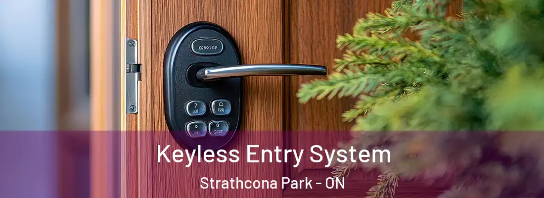  Keyless Entry System Strathcona Park - ON