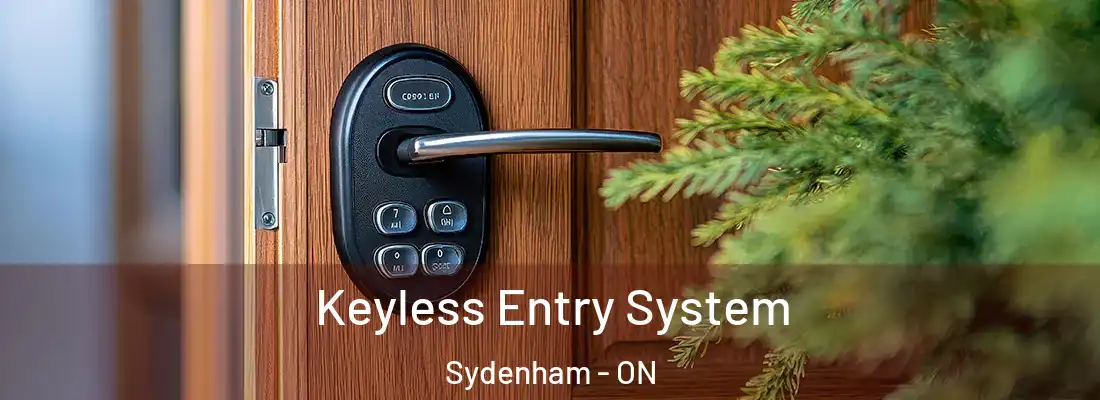  Keyless Entry System Sydenham - ON
