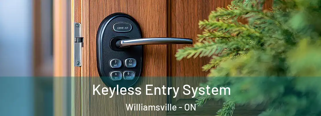  Keyless Entry System Williamsville - ON