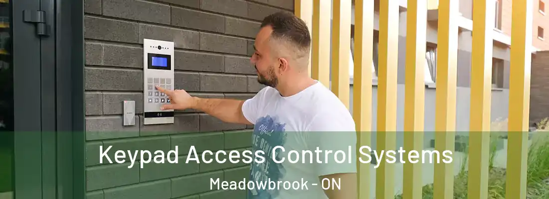  Keypad Access Control Systems Meadowbrook - ON
