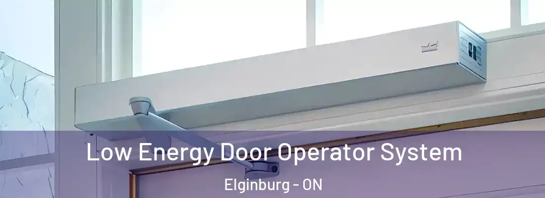  Low Energy Door Operator System Elginburg - ON