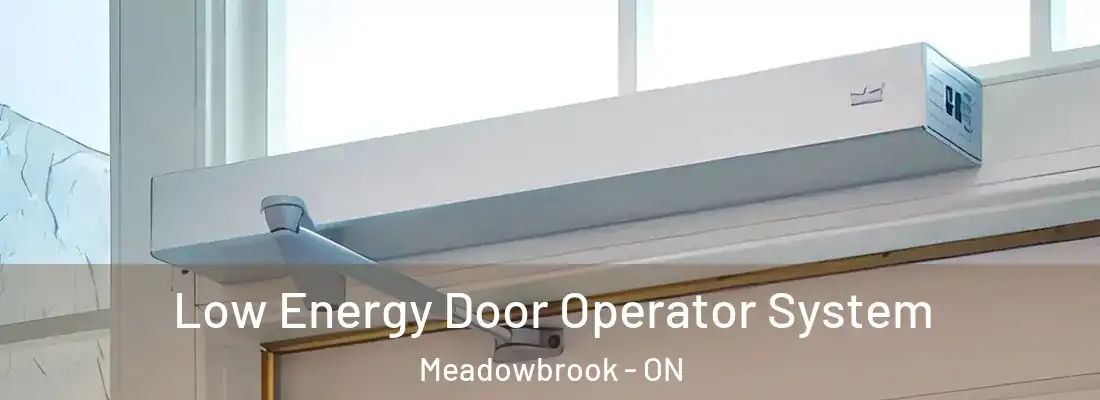  Low Energy Door Operator System Meadowbrook - ON