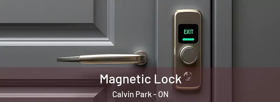  Magnetic Lock Calvin Park - ON
