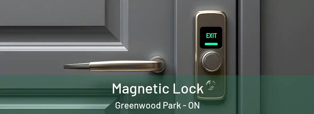  Magnetic Lock Greenwood Park - ON