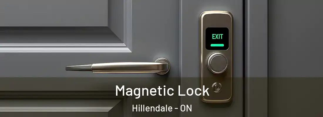  Magnetic Lock Hillendale - ON