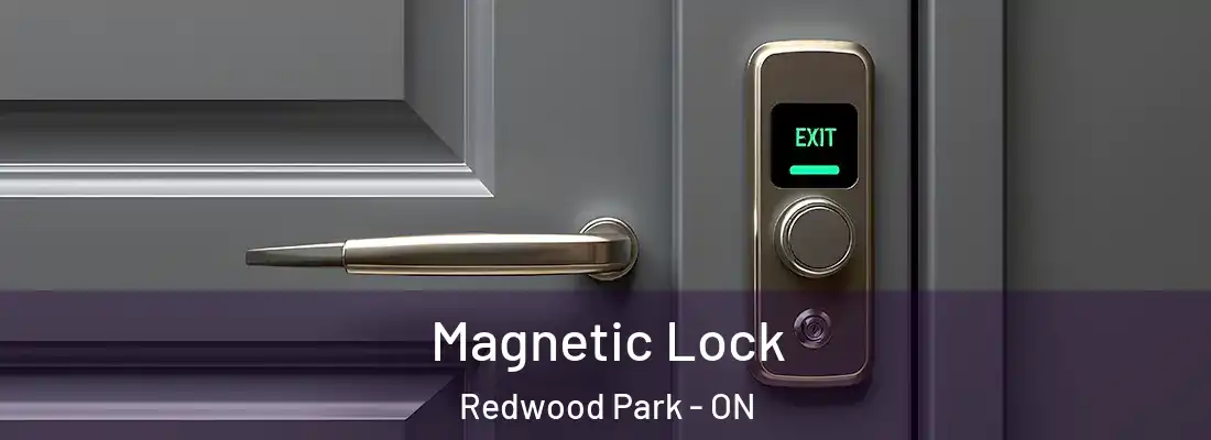  Magnetic Lock Redwood Park - ON