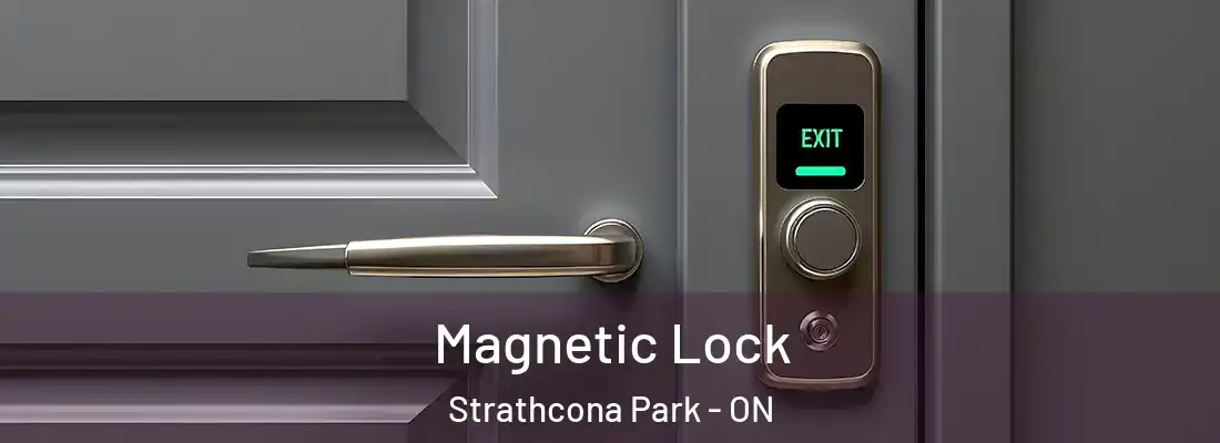  Magnetic Lock Strathcona Park - ON
